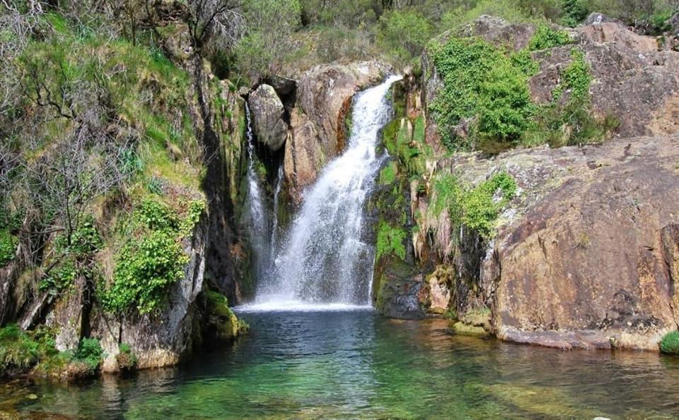 Casa Do Sobrado Arouca Villa ภายนอก รูปภาพ