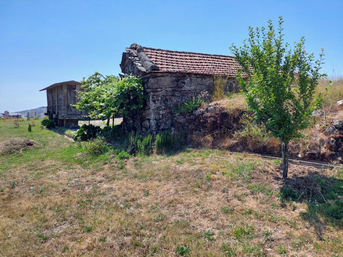 Casa Do Sobrado Arouca Villa ภายนอก รูปภาพ